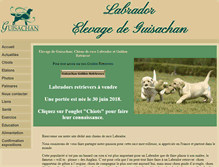 Tablet Screenshot of labradors.fr